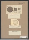 Stictodiscus grunowii Tr. et W. (de-Toni-Nr.: Genus 205, Species 5239) Zeichnungen Sammlung Grunow Nr. 9033 (NHMW-BOT-W0378756)